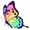 Authentic Beauty Bar Btrfly png